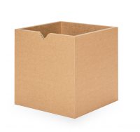 Bobby-paper-shelf-Shelly-side